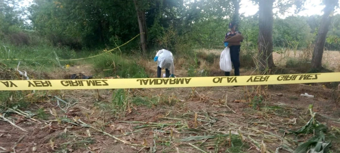 Gizemli Kemikler Cesedi D&uuml;zce'de Ortaya &ccedil;ıktı 