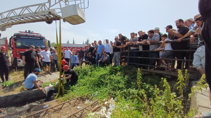 Satmak için getirdiği kurbanlığı rögar çukuruna düştü