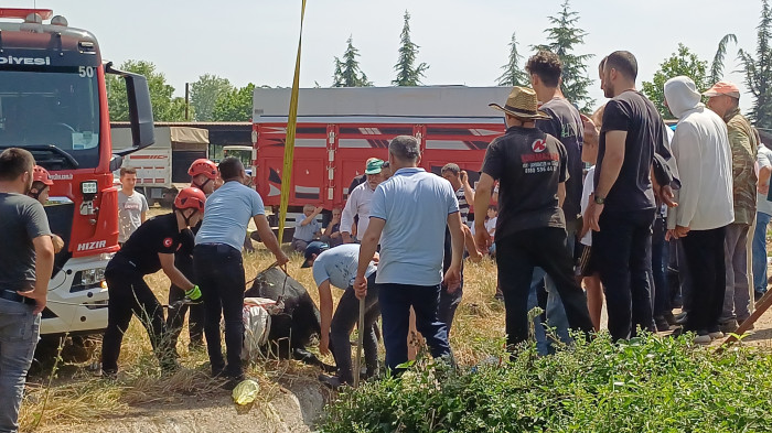 Satmak için getirdiği kurbanlığı rögar çukuruna düştü