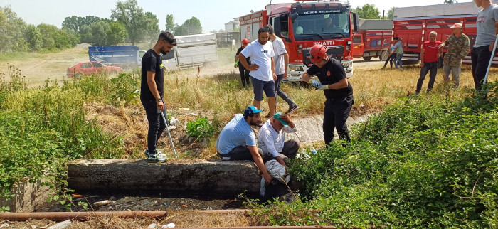 Satmak için getirdiği kurbanlığı rögar çukuruna düştü