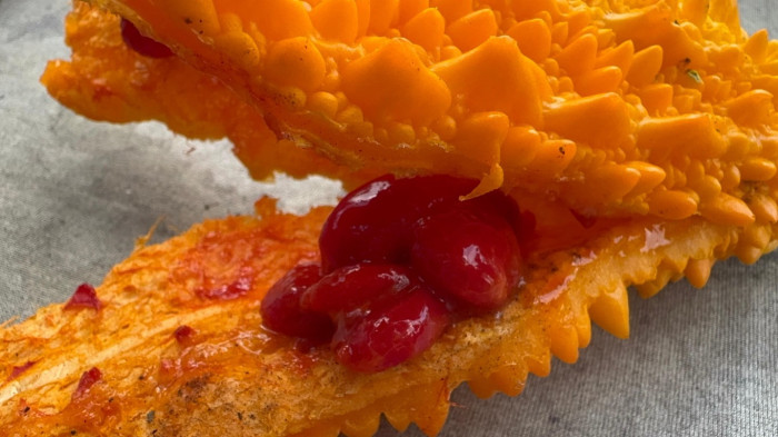 Şifayı buldu, çalıştığı yerden çıkıp sera kurdu