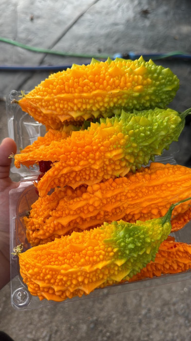 Şifayı buldu, çalıştığı yerden çıkıp sera kurdu