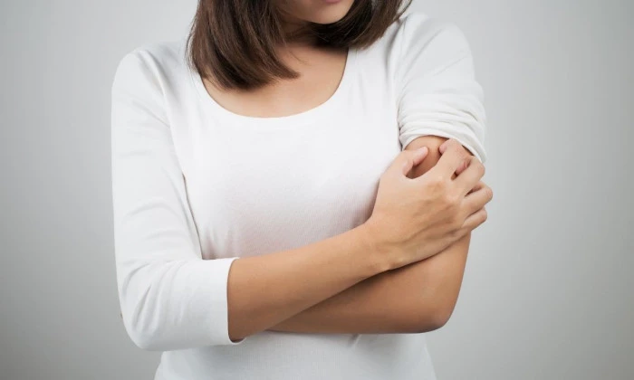 Sivrisinek ısırığı ile gelen tehlike