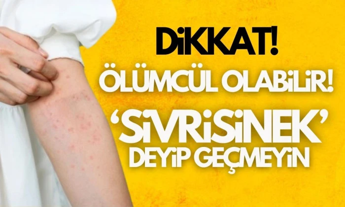 Sivrisinek ısırığı ile gelen tehlike