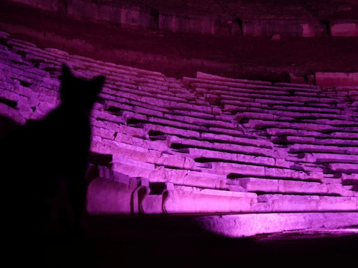 Halk Sağlığına dikkat &ccedil;eken etkinlik 