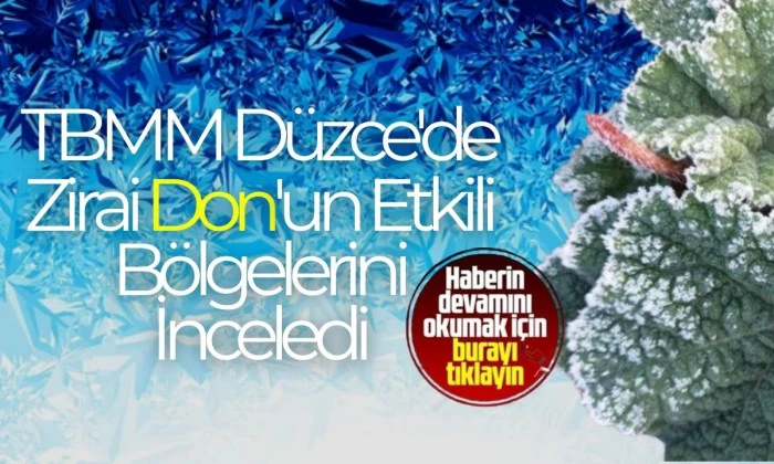 TBMM'nin Düzce'deki Zirai Don Ziyareti ve Çiftçi Görüşmeleri