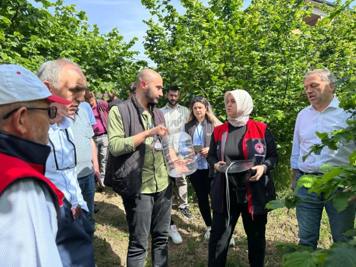Kahverengi Kokarca için 145 tuzak asıldı
