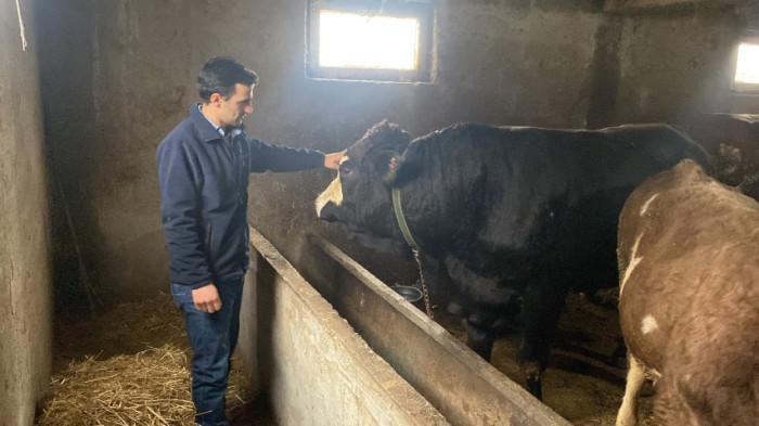 Üniversite mezunu genç köye yerleşip besici oldu