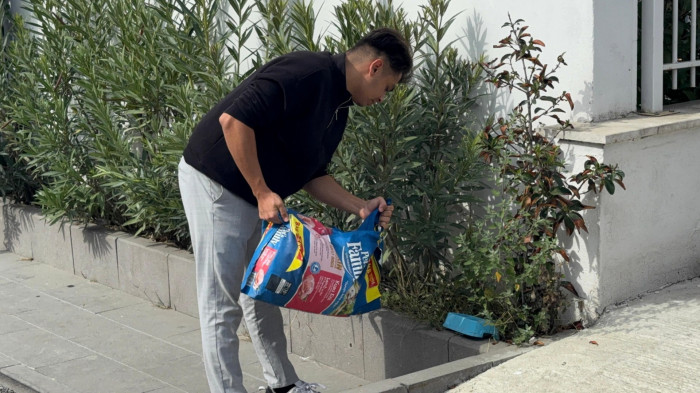 Üniversite öğrencileri hayvanlar için mama dağıttı! 