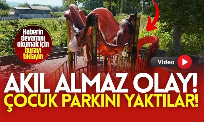 Vandallar &ccedil;ocuk oyun parkını yaktı