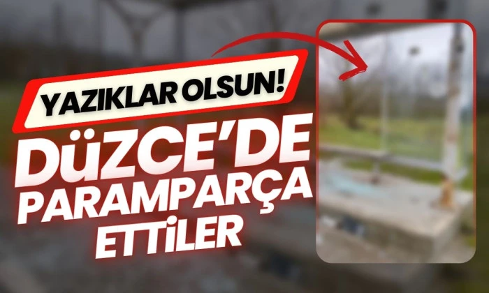 D&uuml;zce'de zarar verdiler 
