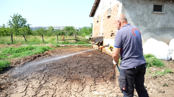 Sivrisinekleri Önleyin: Kapları Kapatın ve Eski Kuyuları Doldurun