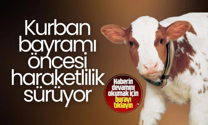 Kurban bayramı öncesi haraketlilik sürüyor
