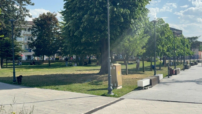 Çocuklarda böcek ısırmalarına dikkat! 