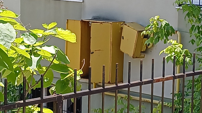 Düzce atıl bina cenneti olmasın