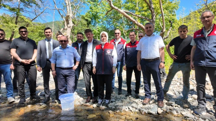 D&uuml;zce'de 7 bin 500 kırmızı benekli alabalık yavrusu sularla buluştu