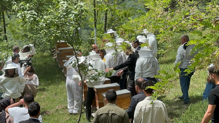 Kovanda arı, Yığılca’da hayat var” projesi başladı 