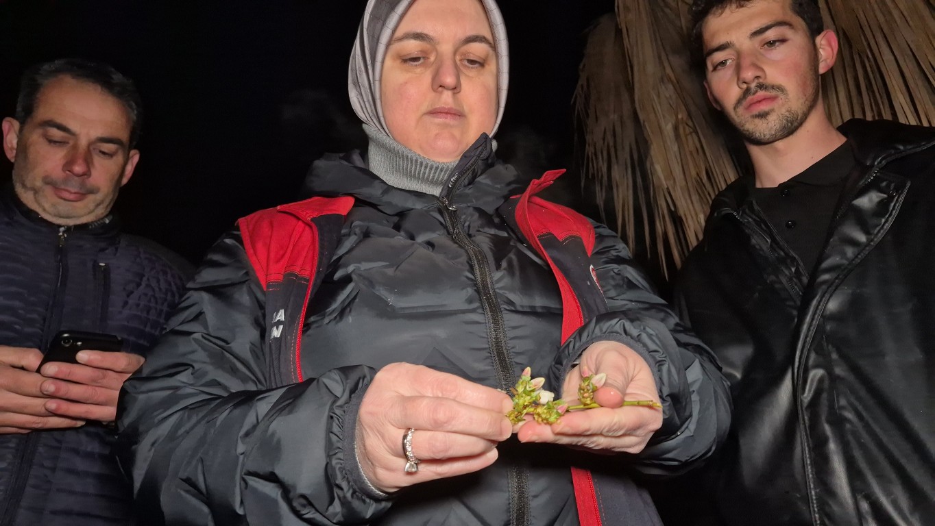Düzce'de Çiftçiler zirai don nöbetinde