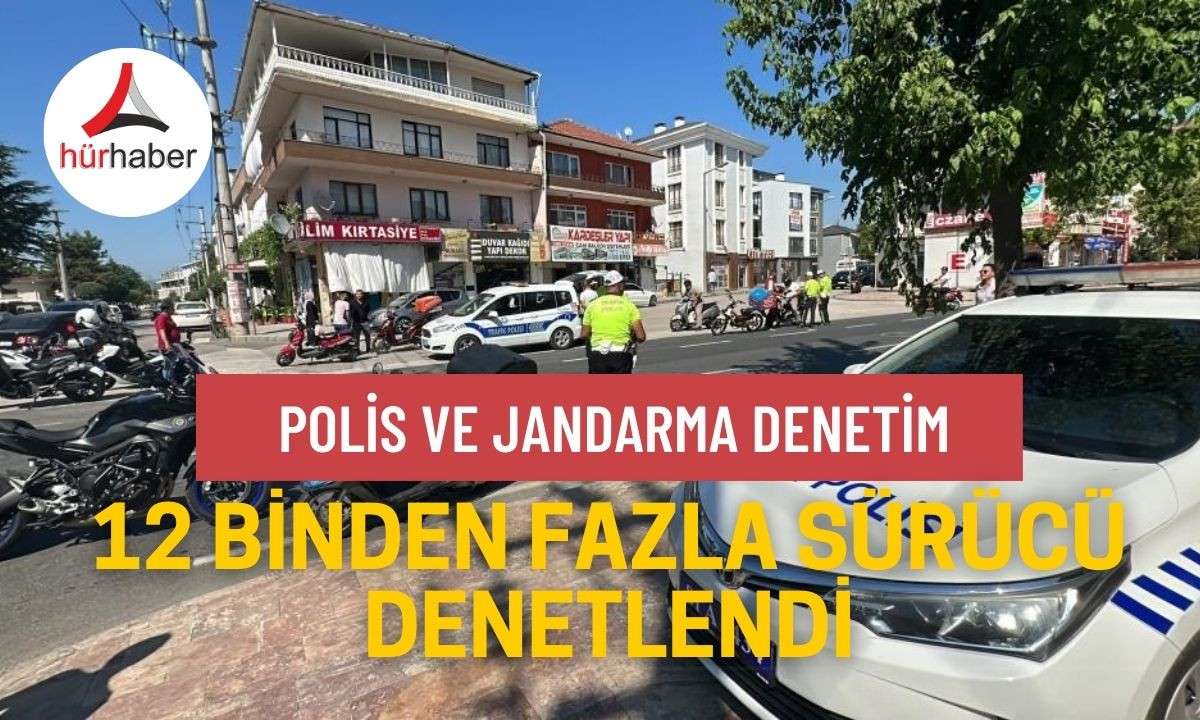 12 binden fazla s&uuml;r&uuml;c&uuml; denetlendi