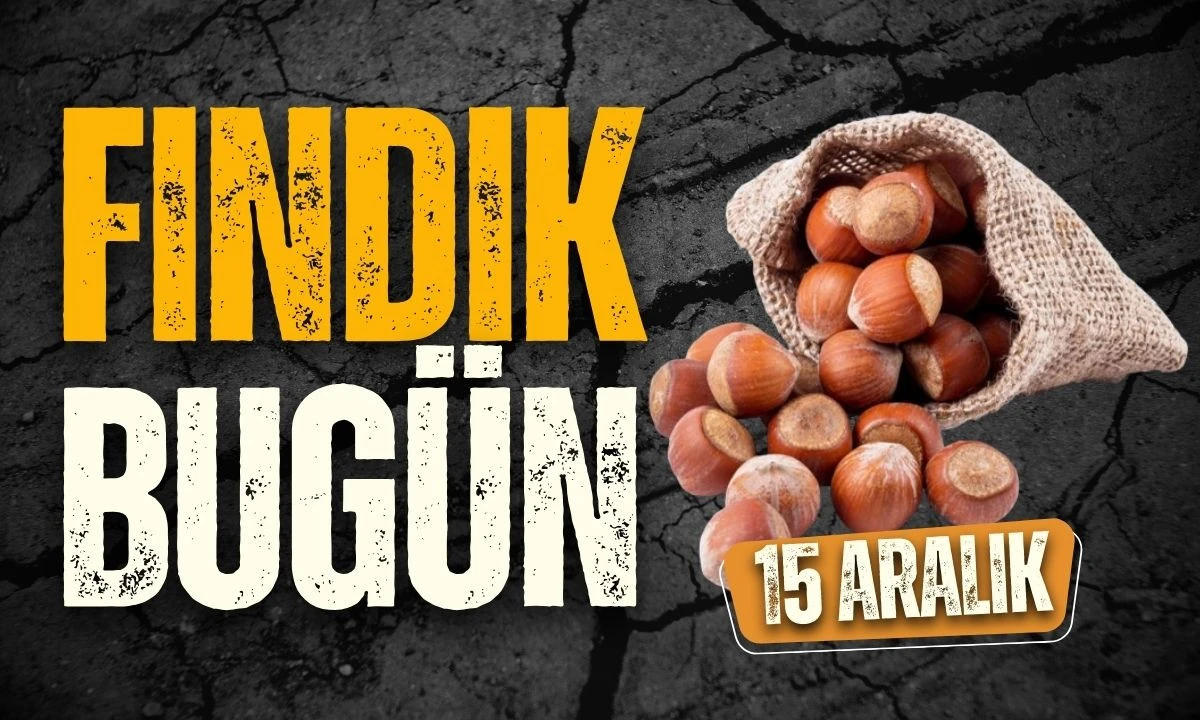 15 Aralık Fındık Fiyat Listesi Karadeniz
