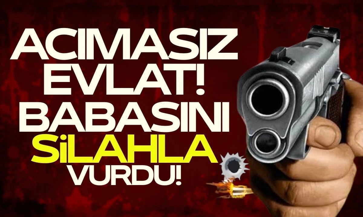 17 Yaşındaki Çocuk Babasını silahla vurdu 