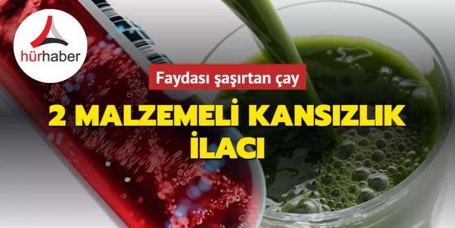 2 malzemeli kansızlık ilacı! Kan yapıcı &ccedil;ay