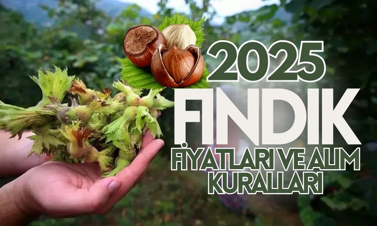 2025 TMO Fındık Alım Tarihleri ve Şartları