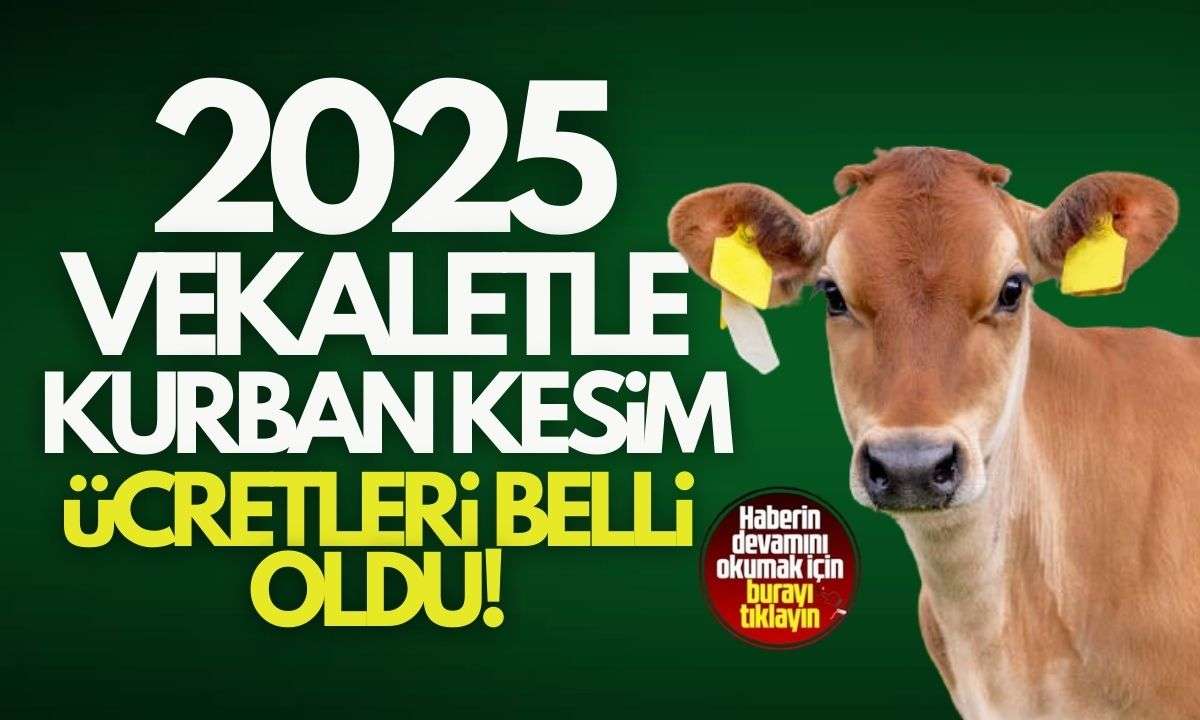 2025 Yılında Kurban kesim ücretleri belli oldu! İşte fiyatlar 
