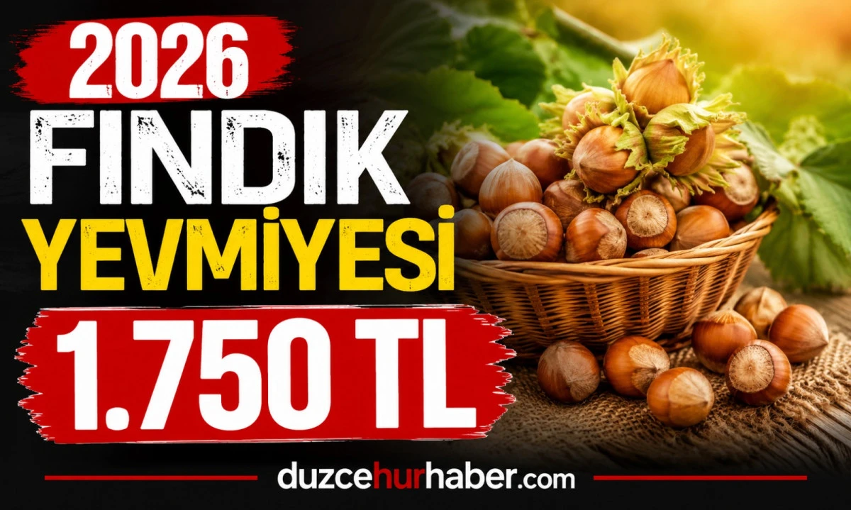 2026 Fındık İş&ccedil;isi Yevmiyesi Ne Kadar? G&uuml;nl&uuml;k &Uuml;cret 1.750 TL Oldu