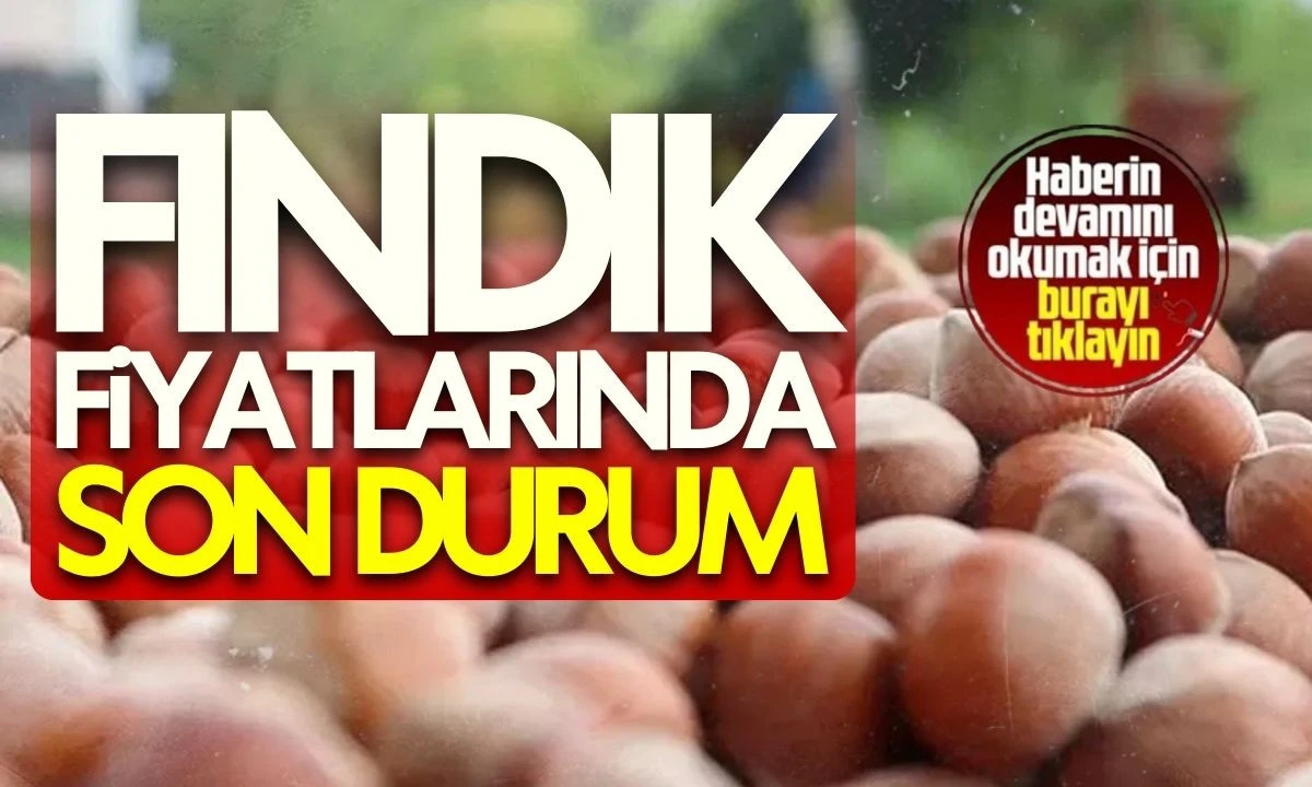 26 Ocak 2026 Fındık Fiyatları İl İl
