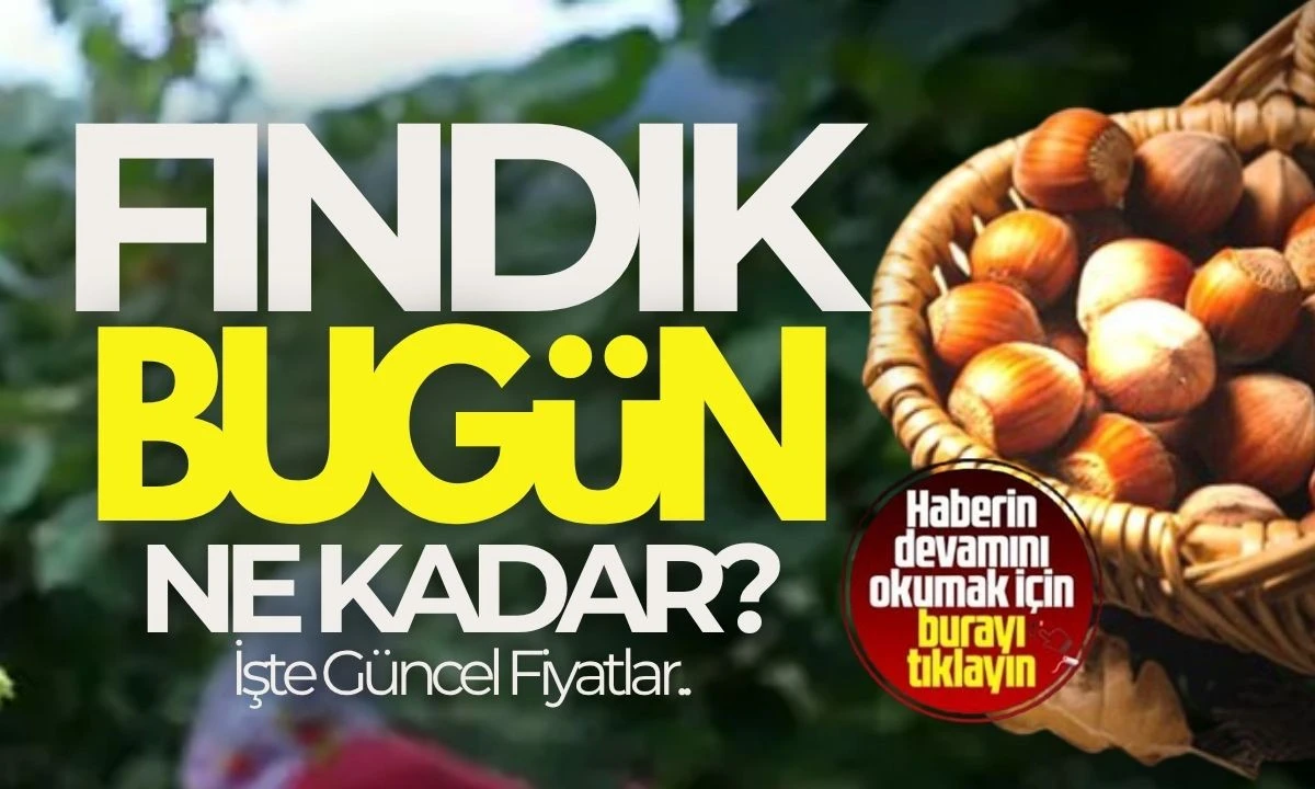 30 Ekim 2025 Fındık Fiyatlarında Rekor Düşüş: İşte Güncel Fındık 