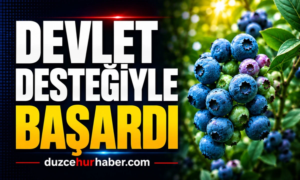 5 yıl &ouml;nce D&uuml;zce'ye geldi, şimdi 3 ton rekolte hedefliyor