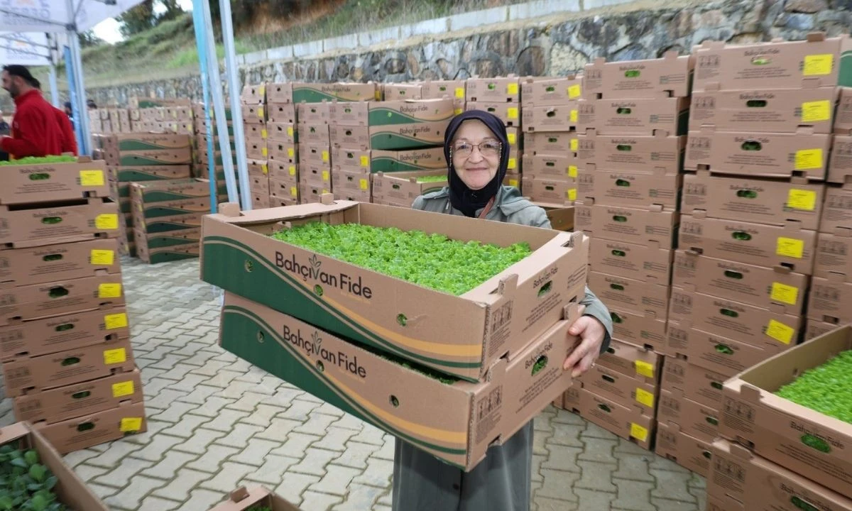 500 Bin Fide Hibe Dağıtıldı