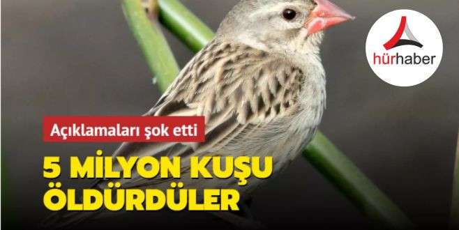 Açıklamaları şok etti:5 milyon kuşu öldürdüler