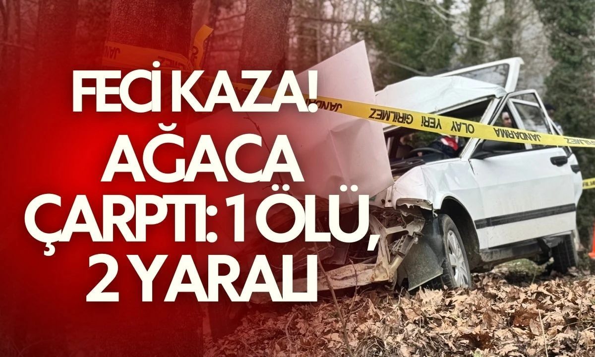 Ağaca &ccedil;arptı: 1 &ouml;l&uuml;, 2 yaralı