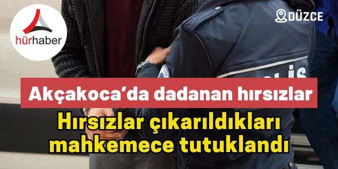 Akçakoca’da dadanan hırsızlar 