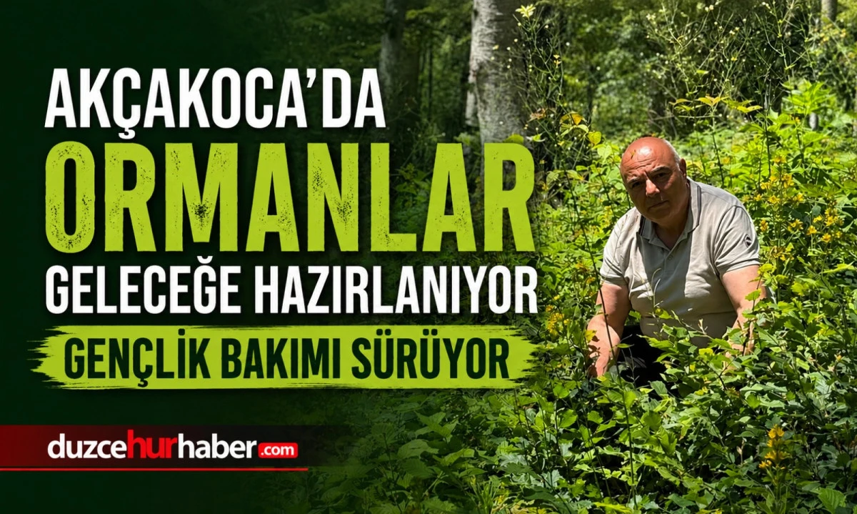 Ak&ccedil;akoca'da Gen&ccedil; Ormanlar İ&ccedil;in Bakım &Ccedil;alışmaları S&uuml;r&uuml;yor