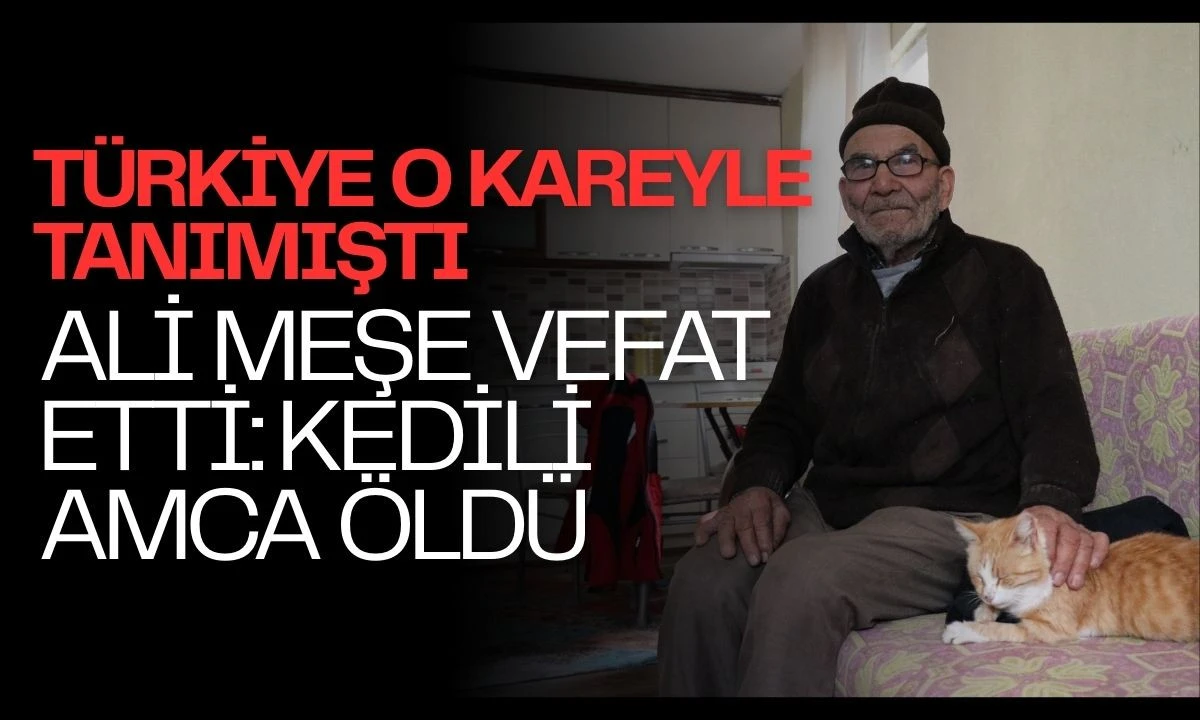 Ali Meşe Vefat Etti: Kedili Amca &Ouml;ld&uuml;