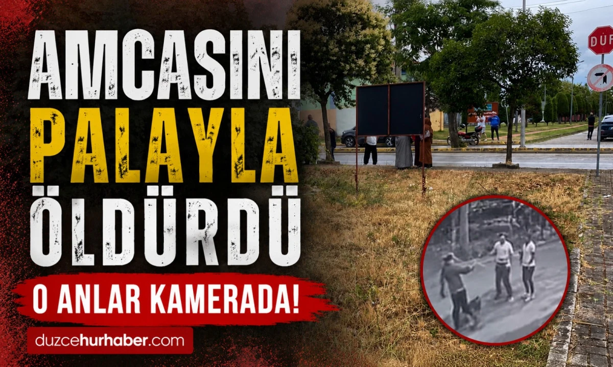Amcasını Palayla &Ouml;ld&uuml;rd&uuml;: Dehşet Kamerada