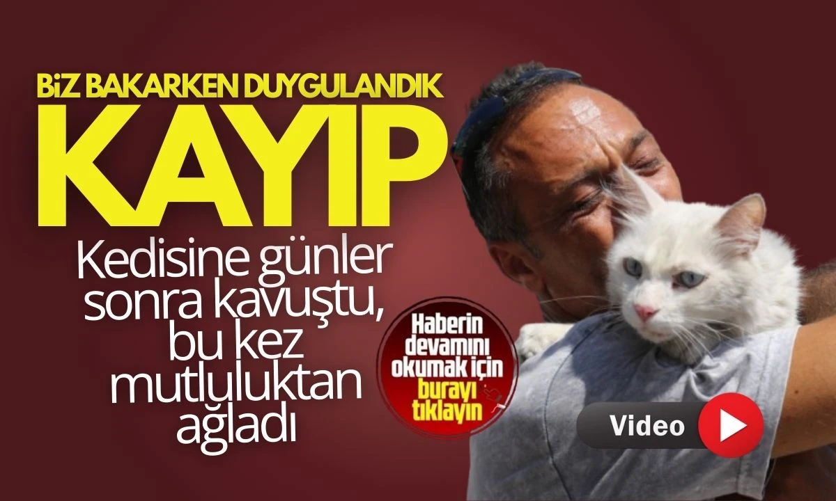 Ankara kedisi Pars sonunda bulundu! Gölcük’te mutluluk dolu anlar