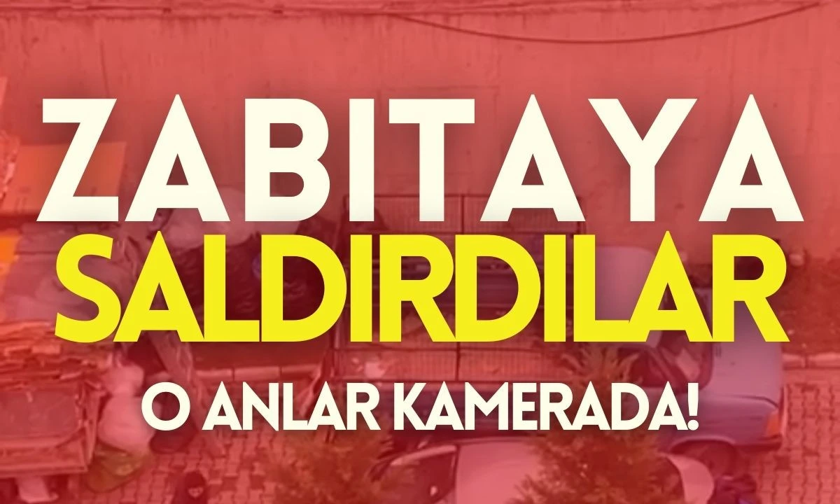 Anne ve oğlu zabıtalara saldırdı