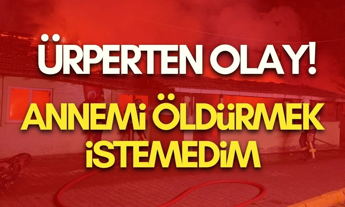 "Annemi &ouml;ld&uuml;rmek istemedim"