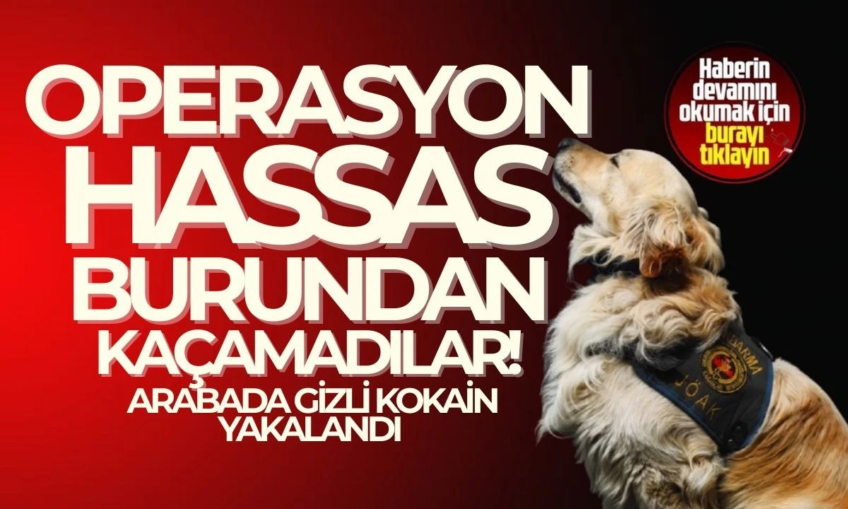 Arabada Gizli Kokain: Yakalandı 