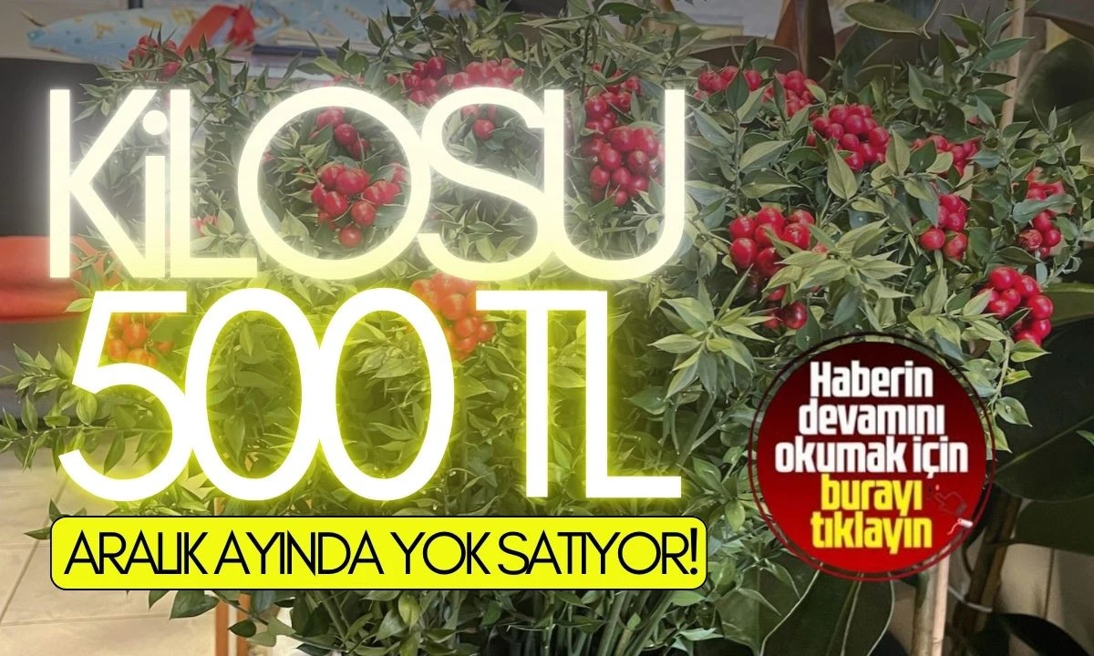 Aralık ayında yok satıyor! Kilosu 500 TL