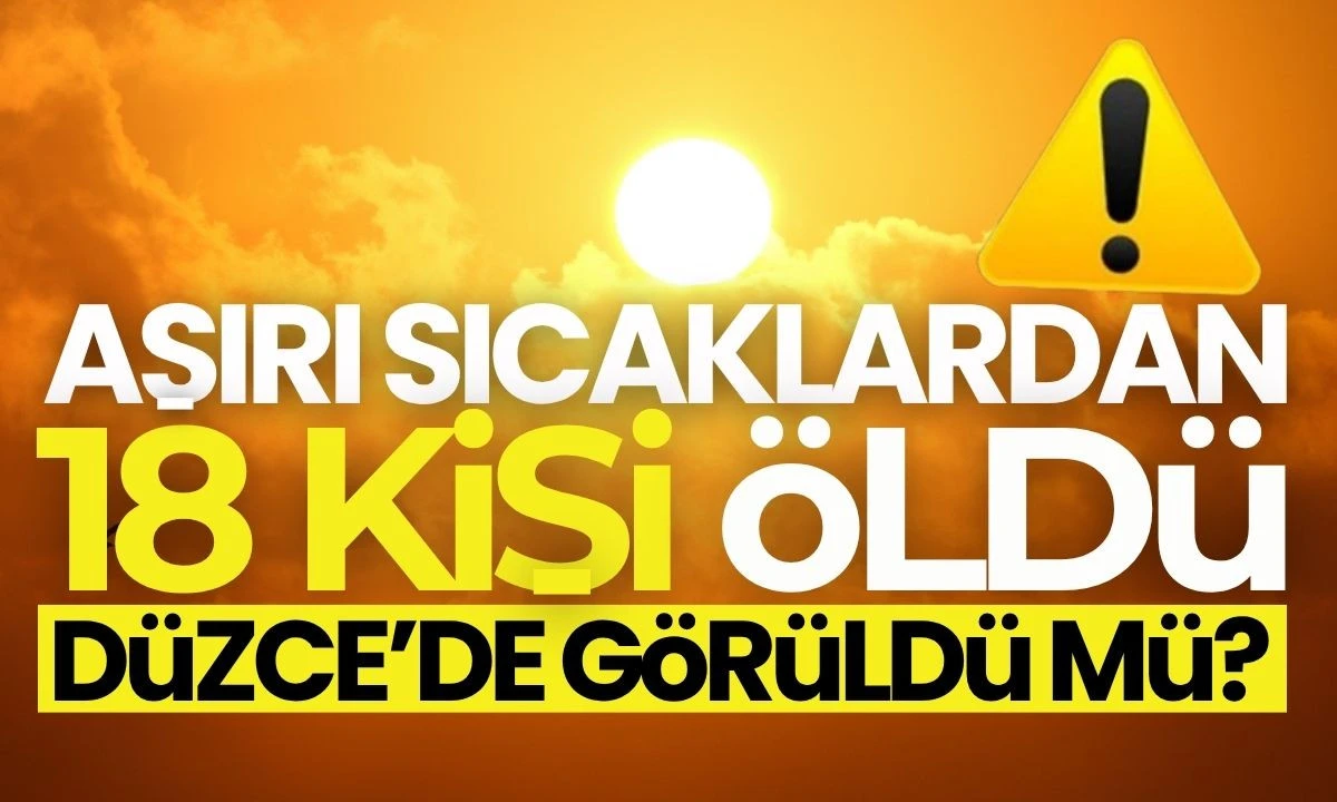 Aşırı sıcaklardan 18 kişi öldü! Düzce'de görüldü mü?