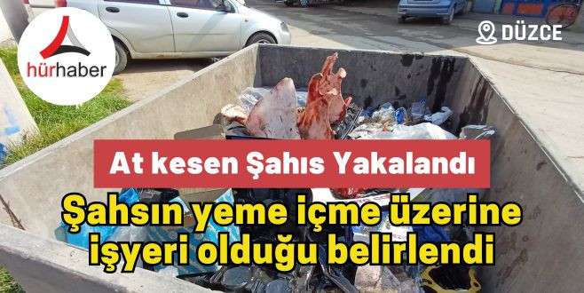 At kesen şahıs yakalandı