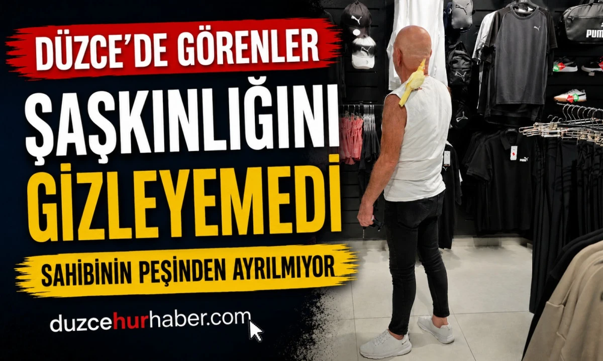 AVM&rsquo;de Sahibinin Peşinden Bir An Olsun Ayrılmadı