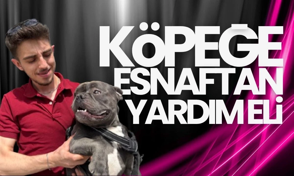 Ayakları betona bulanan köpeğe esnaftan yardım eli