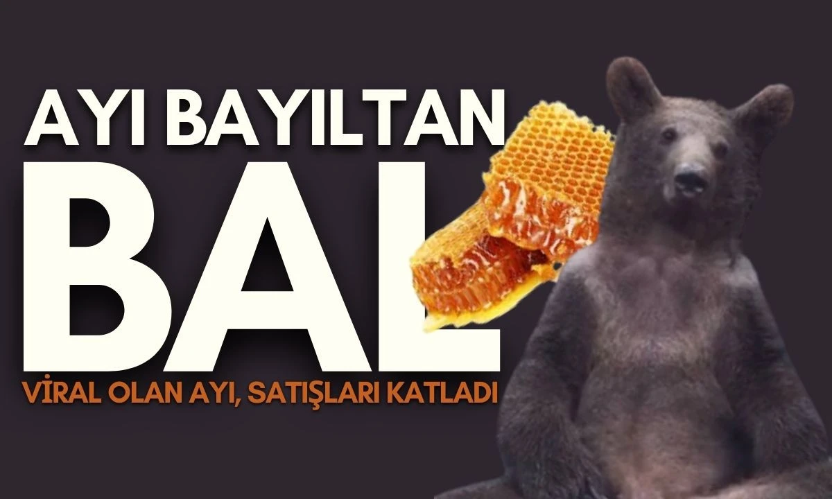 Ayı Bayıltan Bal:Viral olan ayı, satışları katladı