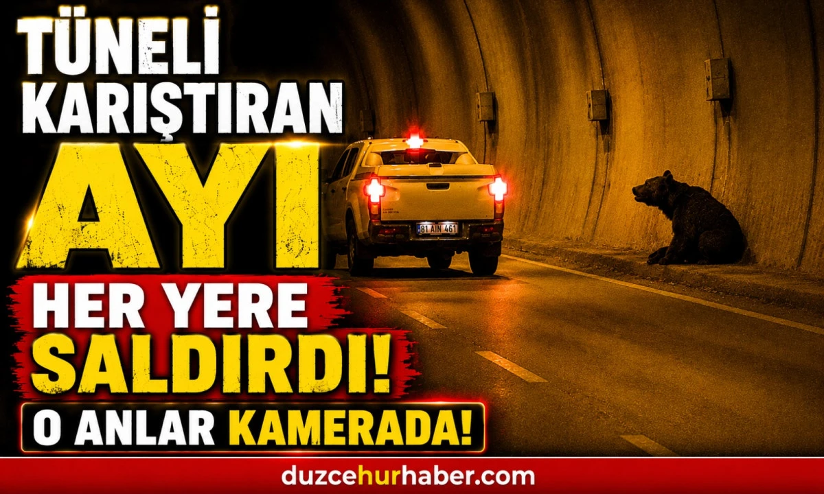 Ayıyı Uyuşturucu İğneler Bile Durduramadı